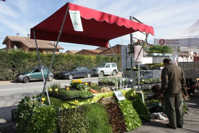 1604766_680207035371674_4765204597866934746_n