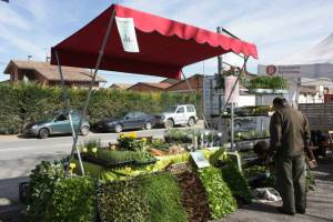 1604766_680207035371674_4765204597866934746_n